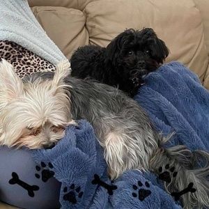 Meet your Posher, Alana